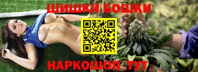шишки Дубна
