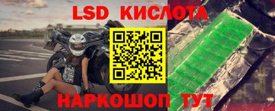 шишки Дубна