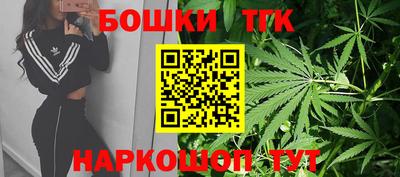 шишки Дубна