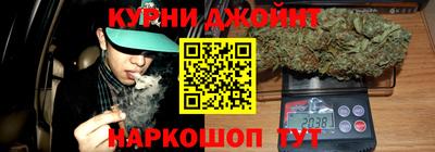 шишки Дубна