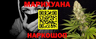 шишки Дубна