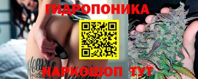 стаф Донской