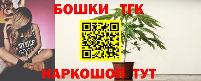 стаф Донской