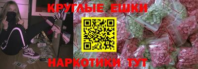 стаф Донской