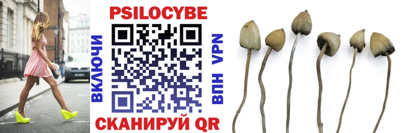 даркнет Telegram  Коломна  Псилоцибиновые грибы Psilocybine cubensis 