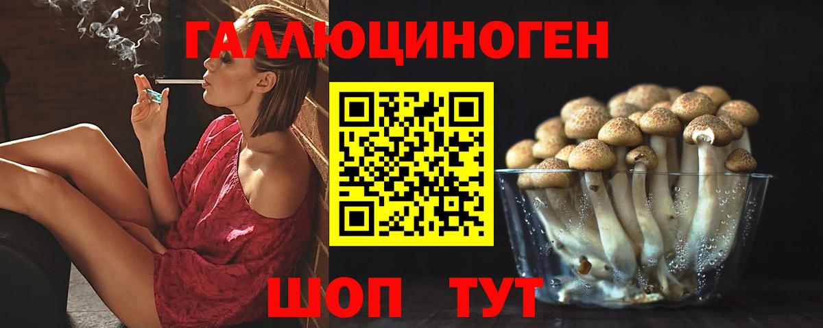 Псилоцибиновые грибы Cubensis  Коломна 