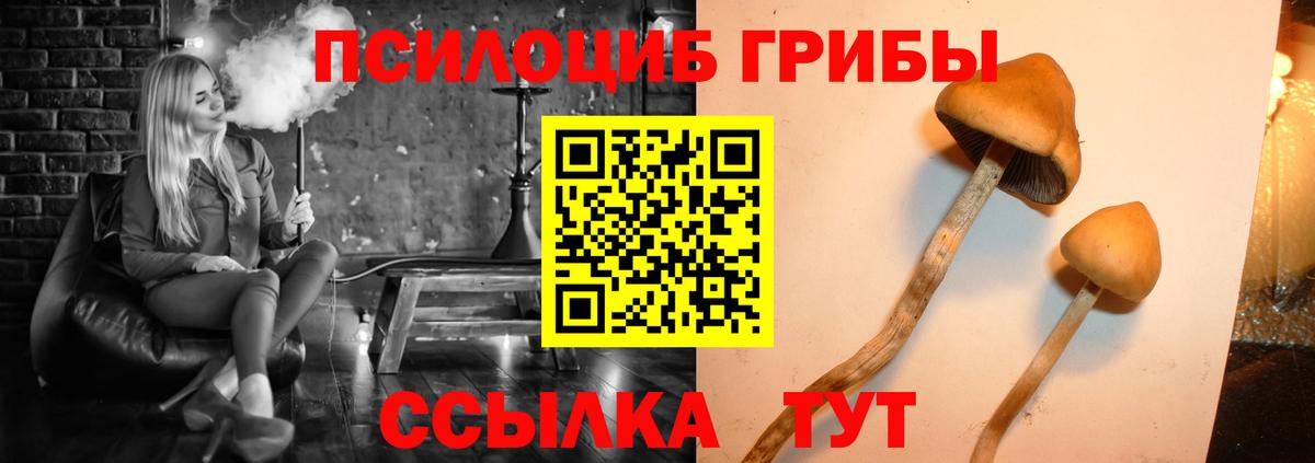 Псилоцибиновые грибы прущие грибы  Вход с VPN  Коломна 