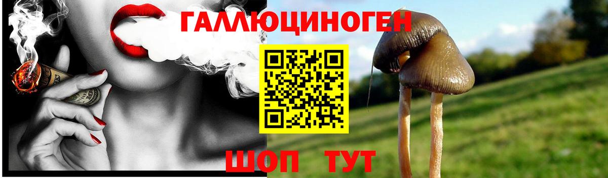 Псилоцибиновые грибы мухоморы Коломна